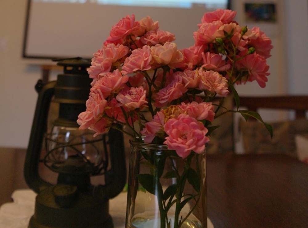 064_Thementag-Heimat 2016