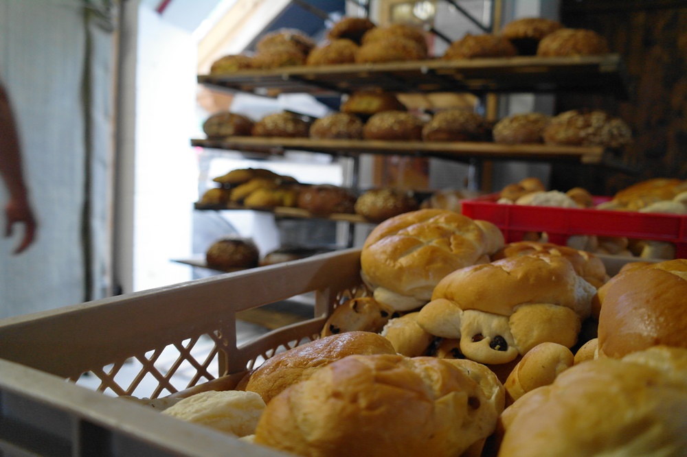 072_Thementag-Heimat 2016