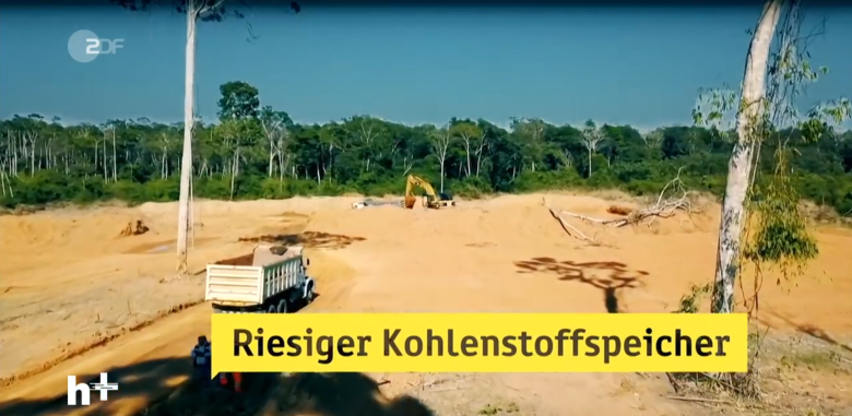 regenwaelder (Weltklimarat: schockierender Bericht)