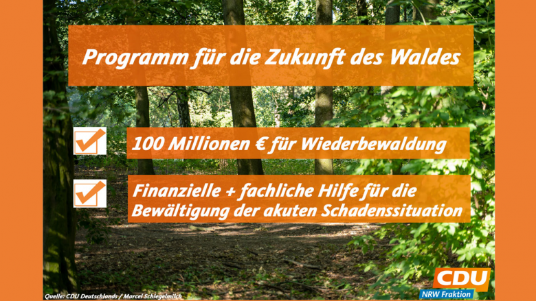 franken-wald (NRW forstet auf – Erklärung verabschiedet)