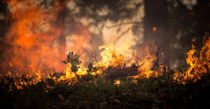 forest-fire-2268729_1280 (Klimaschutz: Unbelehrbarkeit in mächtigen Händen)